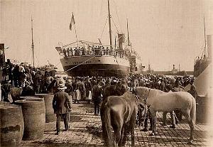 PO e- 388